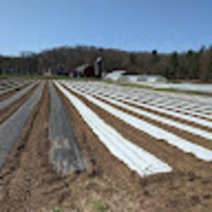 Meet your Posher, Rodger